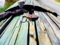 Rusted Brown Fencing with blurred background