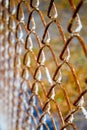 Rusted Brown Fencing with blurred background