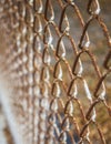 Rusted Brown Fencing with blurred background