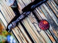 Rusted Brown Fencing with blurred background