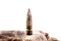 Rusted bullet Royalty Free Stock Photo
