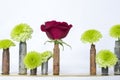 Single Red Rose with Chrysanthemums in Bullet Casing Vases on White Background