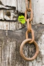 Rusted chain