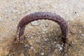 Rusted curved metal loop in concrete. Royalty Free Stock Photo