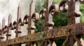 A rusted, decorated, wrought iron fence. Detail of an old retro iron fence made with decorated ironwork elements.