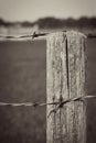 Rusted Fence Royalty Free Stock Photo