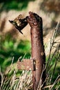 Rusted fence post