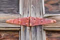 Rusted hinge on an old wooden door Royalty Free Stock Photo