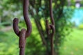 Rusted iron chains holding together. Swing metal chain Links closeup