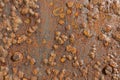 Rusted Iron Metal Surface showing texture and background.