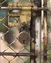 Rusted lock on old fence