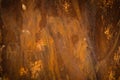 Rusted metal background Royalty Free Stock Photo