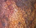 Rusted metal orange and white grunge background and wallpaper texture Royalty Free Stock Photo