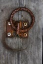 Rusted metal ring on the dock