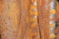 Rusted metal texture background close up Royalty Free Stock Photo