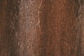 Rusted metal texture and background. Dark worn rusty metal. Royalty Free Stock Photo