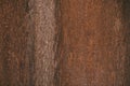Rusted metal texture and background. Dark worn rusty metal. Royalty Free Stock Photo