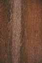 Rusted metal texture and background. Dark worn rusty metal. Royalty Free Stock Photo