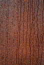 Rusted Metal Texture with Water Dripping Royalty Free Stock Photo