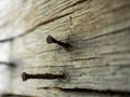 Rusted nails in old wood Royalty Free Stock Photo