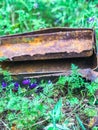 Rusted Old Item in a Flower Patch of Purple Flowers