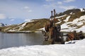 Former Grytviken whaling station, King Edward Cove, South Georgia, Antarctica Royalty Free Stock Photo