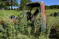 Thistles growing around an old cab of a pickup Royalty Free Stock Photo