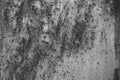 Rusted and oxidized metal background. Black and white version Royalty Free Stock Photo