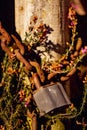 Rusted Padlock against flowers, Gate
