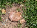 Rusted Paint Can Lid