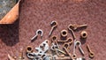 Rusted screws, nuts and bolts in a rusty iron case, rust background. Royalty Free Stock Photo