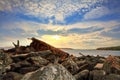 Rusted shipwreck at Botany Bay Sydney Australia