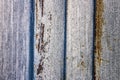 Rusted Shutter Detail Closed Entrance Rusty