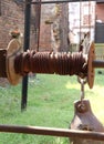 Rusted Spindle from Ancient Factory Remains