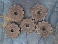 Rusted Steeel gears on a steel plate