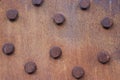 Rusted steel bridge rivet study V