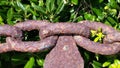 Chain And Green Leaves Royalty Free Stock Photo