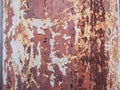 Rusted steel floor on patina spotted color Royalty Free Stock Photo