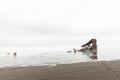 Footprints Leading to Wreck of the Peter Iredale in Pacific Ocean Royalty Free Stock Photo