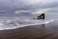 Wreck of the Peter Iredale on Sandy Beach on Pacific Ocean Royalty Free Stock Photo