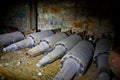 Rusted tank shells on an abandoned military depot Royalty Free Stock Photo