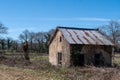 Rusted tin roofed house with ivy growing on it Royalty Free Stock Photo