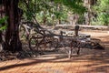 Rusted Vintage Lounger Under A Tree