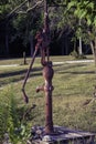 Rusted Water Pump