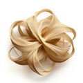 Rustic Abstraction: 3d Model Of Blonde Hair Bun With Organic Hemp Ribbons