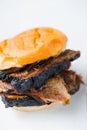 Rustic american barbecue beef brisket sandwich Royalty Free Stock Photo