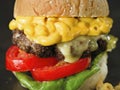 Rustic american mac and cheese hamburger Royalty Free Stock Photo