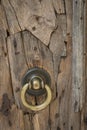 Rustic ancient door