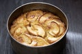 rustic apple cake in baking tin Royalty Free Stock Photo