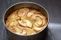 rustic apple cake in baking tin Royalty Free Stock Photo